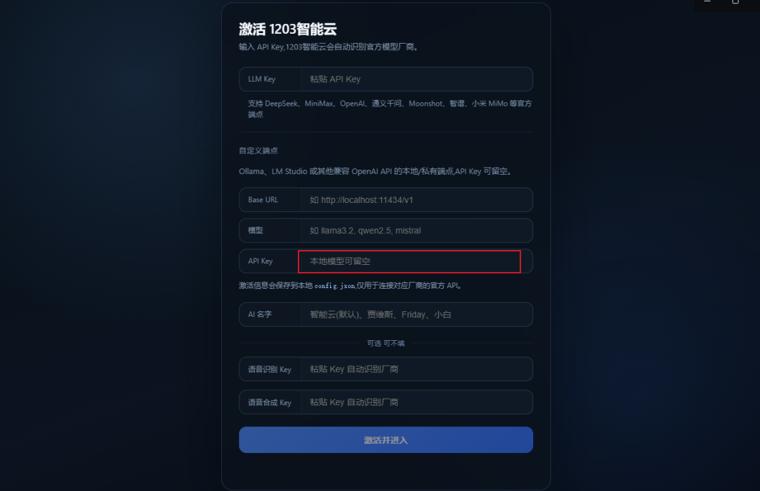 填写 API Key 示意图